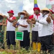 Pesan Gubernur Papua Barat ke Petani: Jaga Ketahanan Pangan dengan Berkebun
