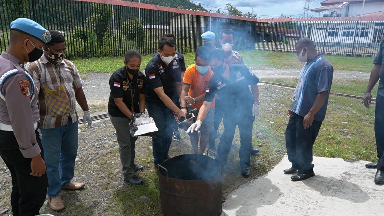 Ditresnarkoba Polda Papua Barat Musnahkan Empat Paket Ganja