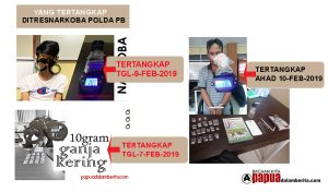 Dalam 3 Hari Ditresnarkoba Polda PB Tangkap Tiga Pemilik Ganja dan Sabu di Manokwari