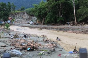 Pemprov Papua Rencana Relokasi Warga di Cycloop