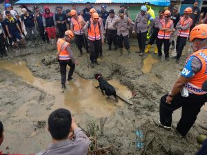 Tim K-9 Berhasil Temukan 15 Korban Banjir Sentani Papua