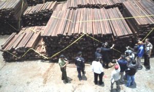 Kasus 81 Kontainer Kayu Ilegal Asal Papua Barat Siap Disidangkan