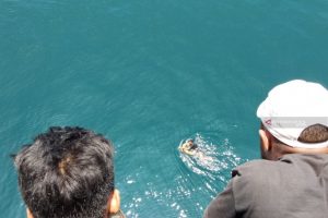 Penumpang Km Ciremai Lompat Ke Laut