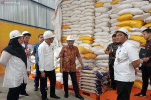 Kemendag: Stok Bahan Pokok di Papua Barat Aman