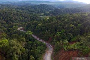 Pemerintah Setop Pemberian Izin Kelola Baru di Hutan Primer dan Gambut