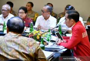 Presiden Jokowi Ingatkan Perangkat Negara Solid Tangani Karhutla