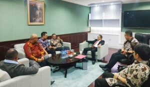 BKPM Gandeng Pemda Investasi Gas dan Listrik di Teluk Bintuni