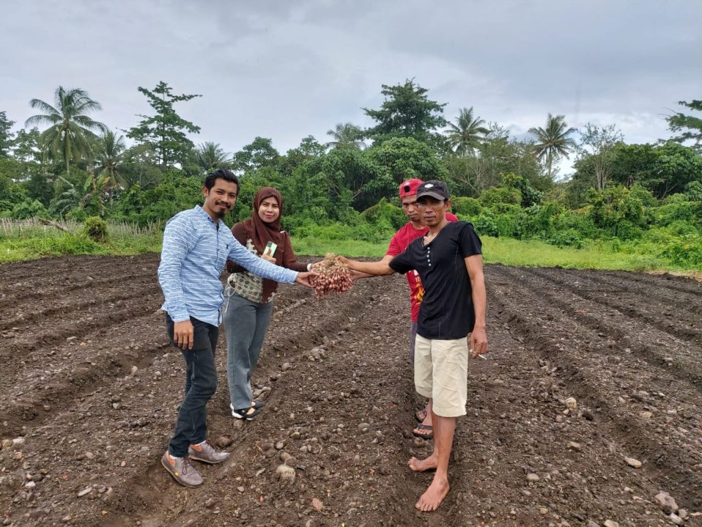 KADIN Papua Barat Akan Dampingi Petani Bawang Merah di Mansel