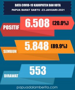 Pasien Positif Corona dan Sembuh  di Papua Barat Masih Seiring Sejalan