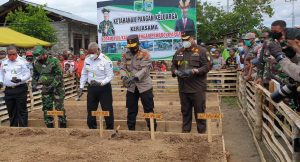 Gubernur, Pangdam, Wakapolda dan Bupati Manokwari Lakuka Penanaman  Ketahanan Pangan