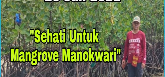Program PEN Mangrove 2021, Untuk Mitigasi dan Jasa Lingkungan Pesisir Pantai Manokwari