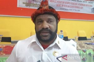 Tokoh Masyarakat Papua Dukung Pembentukan DOB