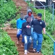 Polisi Tangkap Dua Orang Pemilik 37 Karung Ganja Di Jayapura