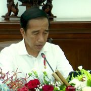 Jokowi Minta Kemenkes Eksplorasi Faktor Risiko Penyebab Gagal Ginjal