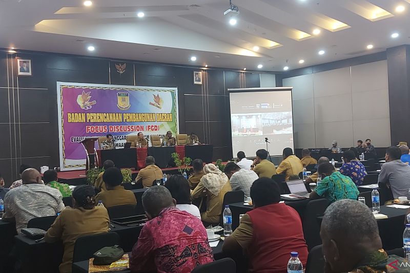 Pemprov Papua Sebut Tiga DOB Tetap Dapat Pendampingan Otsus