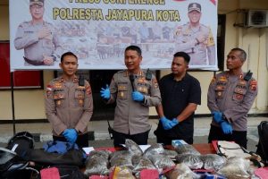Polisi Tangkap Warga PNG Selundupkan 8,7 Kilogram Ganja di Jayapura