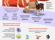 Pasokan Hewan Kurban 2024 Aman
