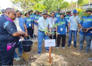 Papua Barat Targetkan Penanaman 1 Juta Pohon Matoa hingga Oktober