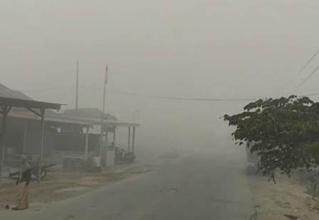 Karhutla di Bomberay dan Tomage, Kabupaten Fakfak