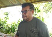 Cerita Dua Petani Binaan Dinas Pertanian Fakfak Sokong Kebutuhan Sayur Pasar Lokal