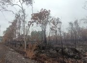 Kabut Asap Karhutla di Bomberay dan Tomage Mereda, Aktivitas Warga Kembali Normal