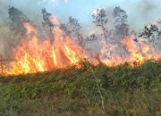 Karhutla di Bomberay, Fasilitas Publik dan Mapolsek Sempat Terancam