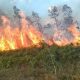 Karhutla di Distrik Bomberay - Fakfak