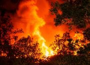 Karhutla Landa SP 7 Tomage, BPBD Fakfak -TNI dan Warga Baku Bantu Padamkan Api