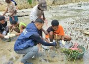 Rehabilitasi Pesisir Fakfak, Tim 19 TEP Unhas dan Warga Saharey Tanam 1.500 Bibit Mangrove
