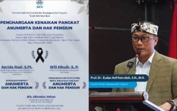 Badan Kepegawaian Negara