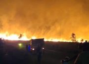 Kobaran Api Membumbung di SP 7 Tomage, Tim Gabungan Bergerak Cepat Amankan Pemukiman
