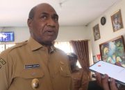 Di Balik Kunjungan Dubes Afrika Selatan, Papua Barat Buka Pintu Peluang Baru