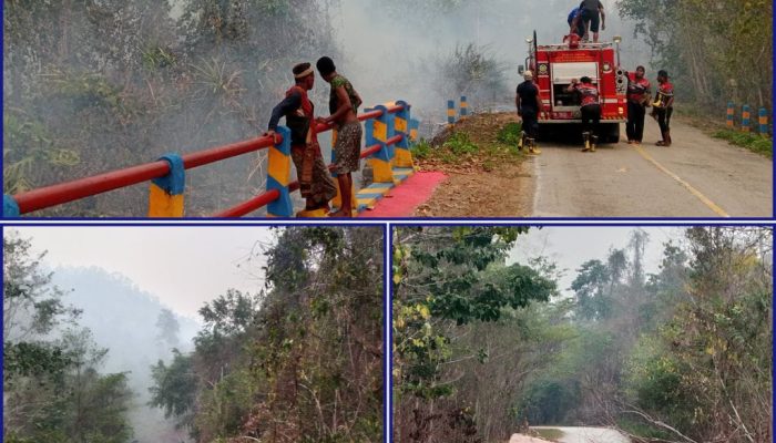Waspada Jalur Kinam–Mbahamdandara! Karhutla Picu Pohon Tumbang Tutupi Badan Jalan